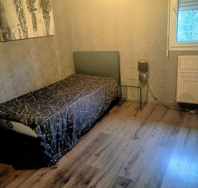 Chambre à louer - Annecy -