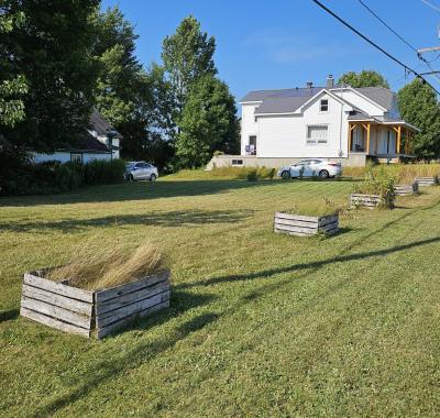 Chambre pour 2 mois à la campagne