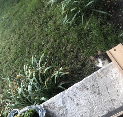 Chambre meublée chez particulier