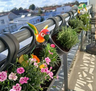 2 chambres a louer pour le hellfest