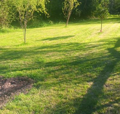 Emplacement tente sur jardin