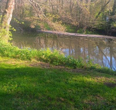 Emplacement tente sur jardin