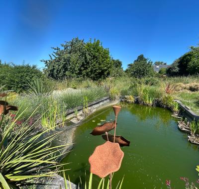 Chambre à louer _ Brissac Loire Aubance