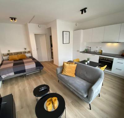 Studio lumineux à louer à Paris 15ème, 24m², étage 1