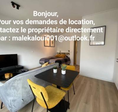 Studio lumineux à louer à Paris 15ème, 24m², étage 1
