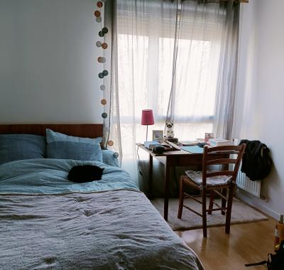 Chambre à louer à Toulouse