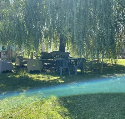 Tente dans le jardin + possibilité transport