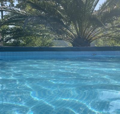 Tente dans le jardin + possibilité transport