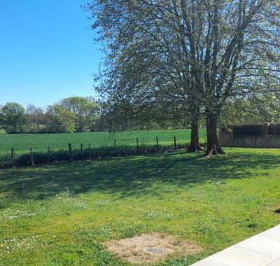 Espace jardin pour toile de tente