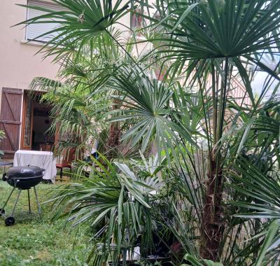 PETIT DEJEUNER COMPRIS CHEZ DOMINIQUE