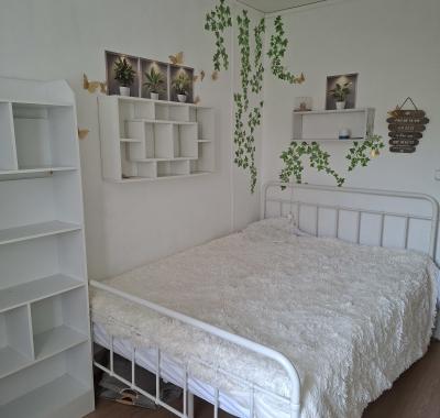 Jolie chambre meublée lyon 5 limite Tassin