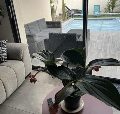 Chambre à louer chez habitant