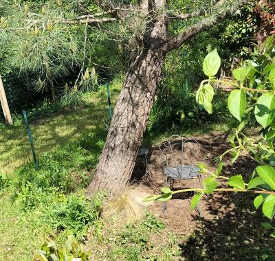 Maison entière à louer  HELFEST   du 15 au 22 juin 2026