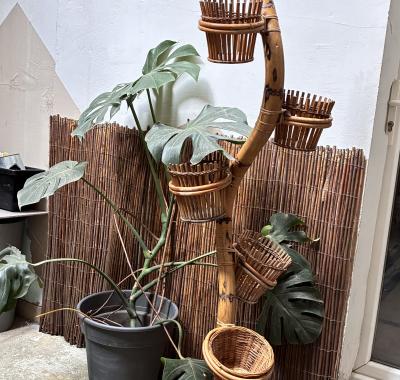 Mini loft studio atelier à louer