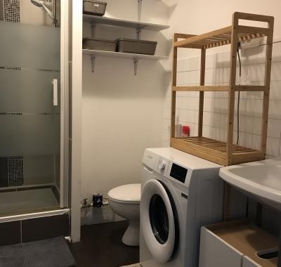 Type 1 bis meublé belle beille