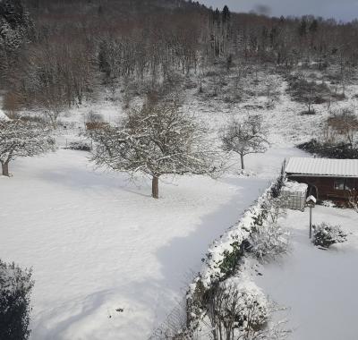 Chambre à louer au calme