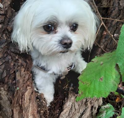 Séjour académique chez Mireille