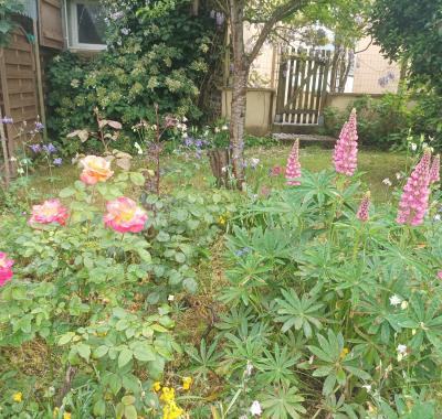 Chambre chez l'habitant avec jardin