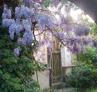 Chambre chez l'habitant avec jardin