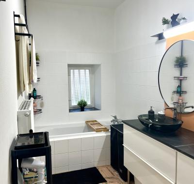 Chambre à louer dans grand appartement proche gare METZ (