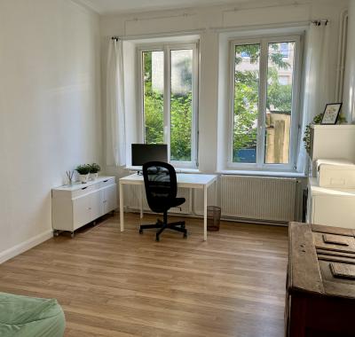 Chambre à louer dans grand appartement proche gare METZ (