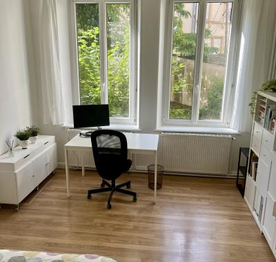 Chambre à louer dans grand appartement proche gare METZ (
