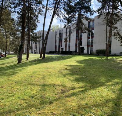 Chambre ensoleillée dans résidence calme et verdoyante