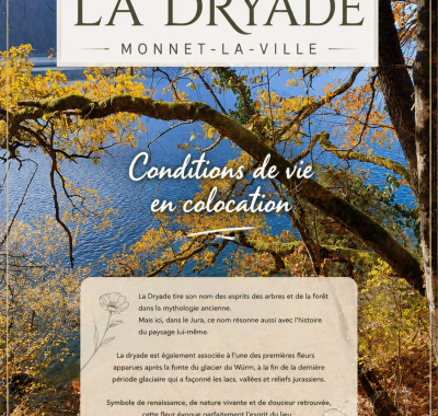 Colocation entre seniors