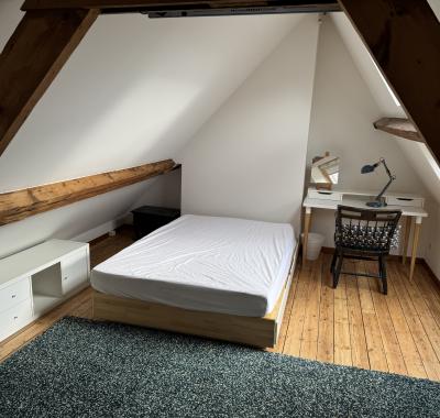 Chambre a St Gilles pres de metro et Parc de Forest