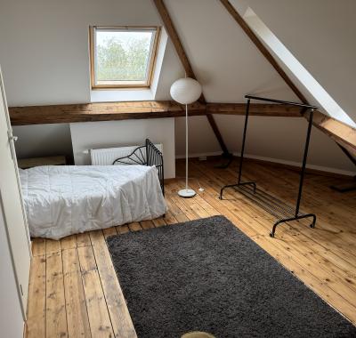 Chambre a St Gilles pres de metro et Parc de Forest