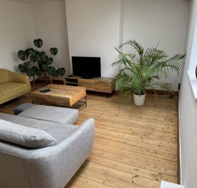 Chambre a St Gilles pres de metro et Parc de Forest