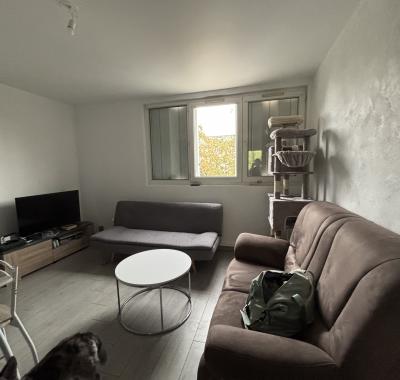 Chambre à louer