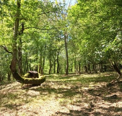 Une chambre dans une ferme, dans les coteaux à Saverdun
