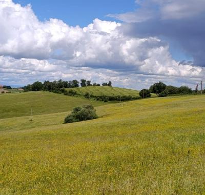 Une chambre dans une ferme, dans les coteaux à Saverdun
