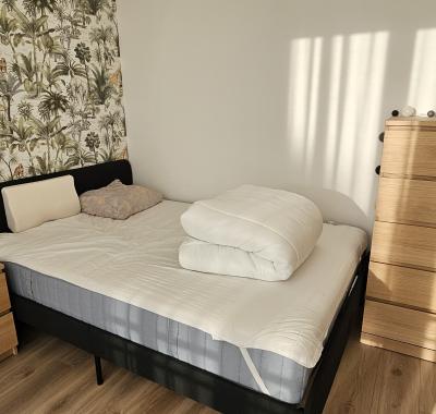 Chambre chez l'habitant proche Rennes contre services