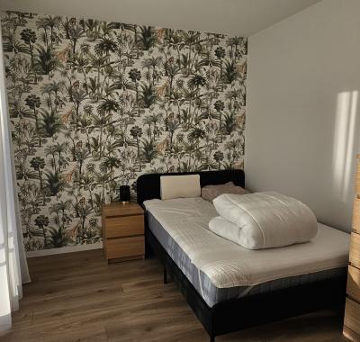 Chambre chez l'habitant proche Rennes contre services