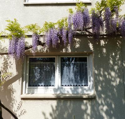 Chambre à louer tout près de Metz