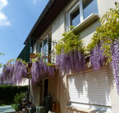 Chambre à louer tout près de Metz
