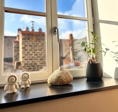 Vieux Lyon - Chambre de charme chez l’habitant / Clim’