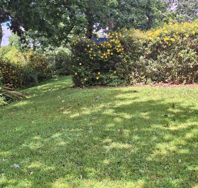 Camping et parking pour Vans  chez l'habitant "Vieilles charrues"