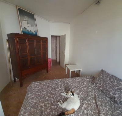 Chambre chez l'habitant-Bordeaux centre