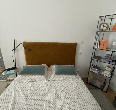 Appartement haussmanien design