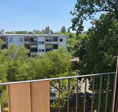 Charmant f3 dans un écrin de verdure