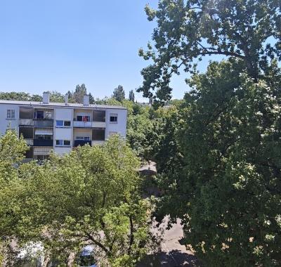 Charmant f3 dans un écrin de verdure