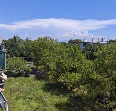 Charmant f3 dans un écrin de verdure