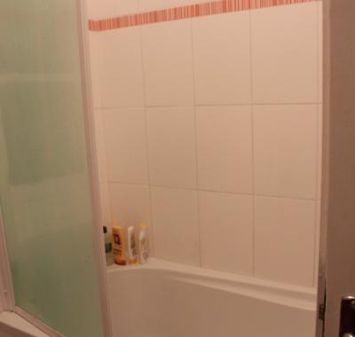 Superbe T3 fête des lumières Lyon1