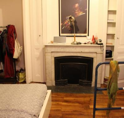 Superbe T3 fête des lumières Lyon1