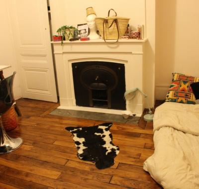 Superbe T3 fête des lumières Lyon1