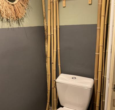 Chambre  à louer dans notre havre de paix urbain