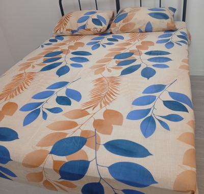 Grande chambre meublée